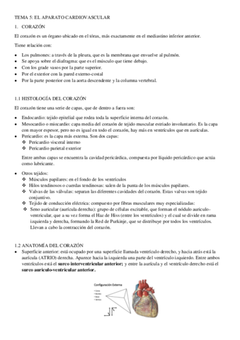 TEMA-5.pdf