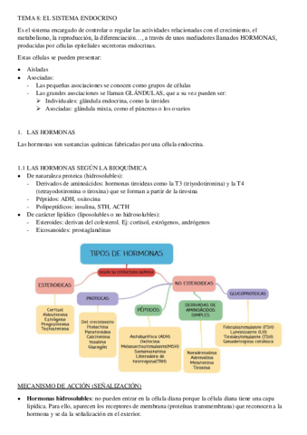 TEMA-8-sistema-endocrino.pdf