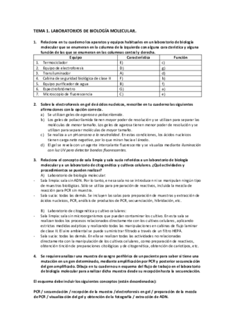 Tema-1-Actividades.pdf