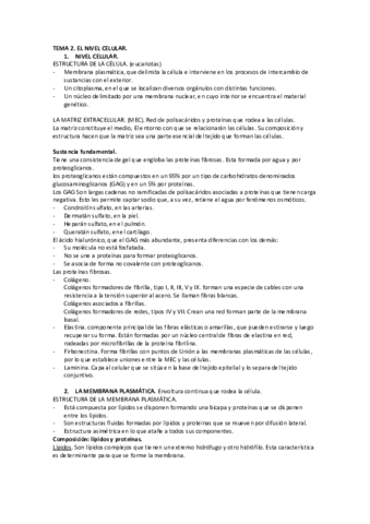 TEMA-2.pdf