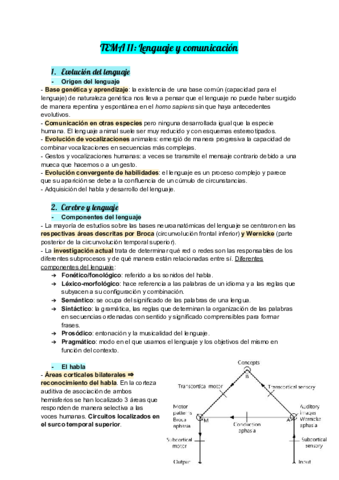 TEMA-11-Lenguaje-y-comunicacion.pdf