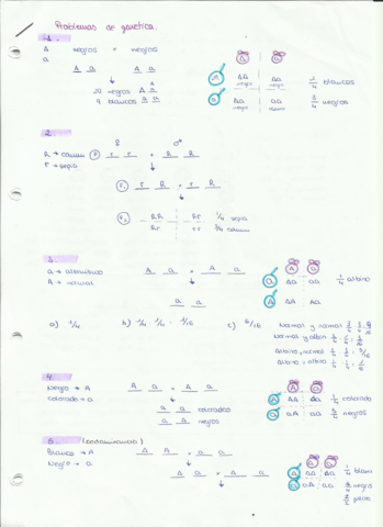 Soluciones-problemas-de-genetica.pdf