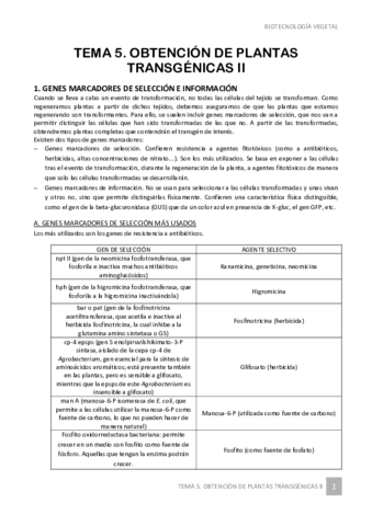 TEMA-5-Obtencion-de-plantas-transgenicas-II.pdf