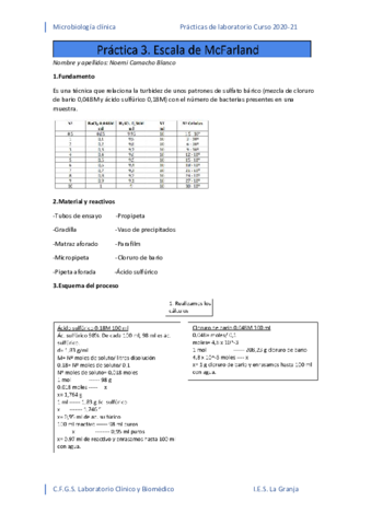 Escala de MacFarland.pdf