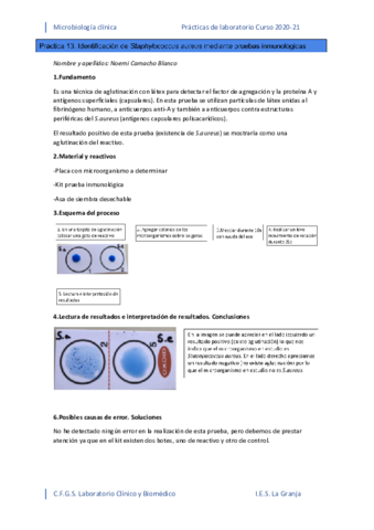 PRAC-13.pdf