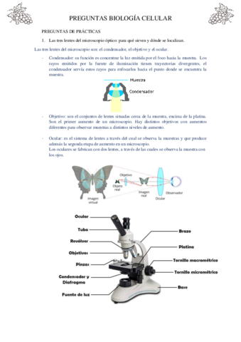 examen-biologia-celular-resuelto.pdf