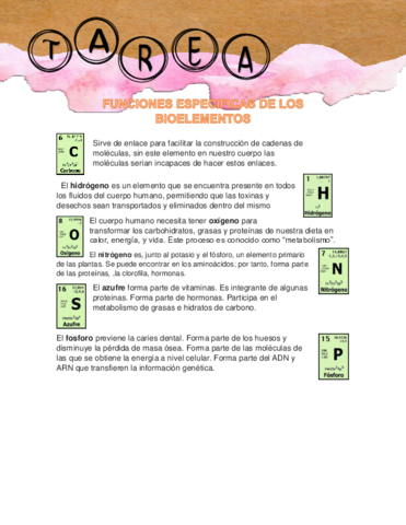 FUNCIONES-ESPECIFICAS-DE-LOS-BIOELEMENTOS.pdf