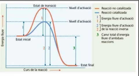 grafic-bio.pdf