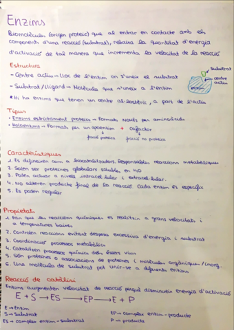 1parcial-bio.pdf
