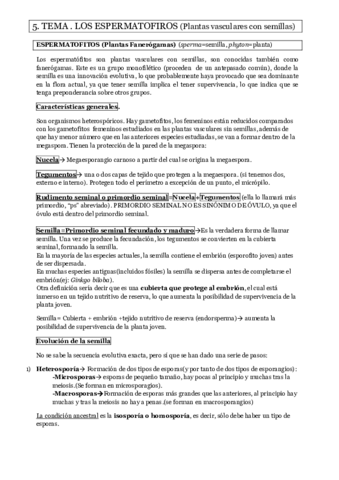TEMA-5.pdf