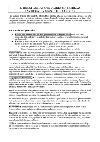 Tema-4.pdf