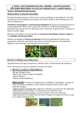 Tema-3.pdf