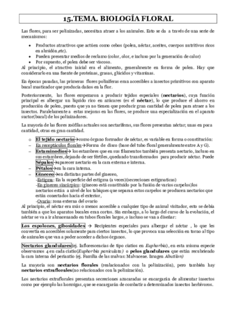 TEMA-15.pdf