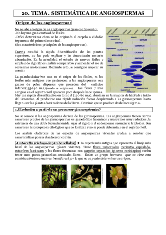 TEMA-20.pdf