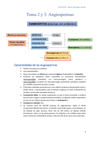 Tema-2-y-3-Angiospermas.pdf