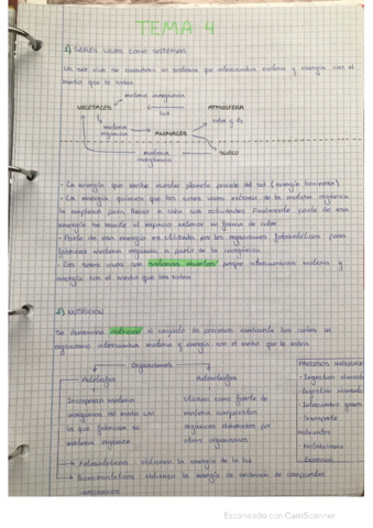 TEMA-4-biologia-.pdf