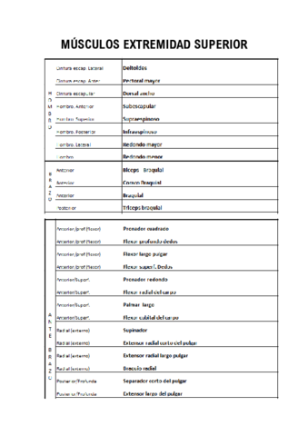 LISTA-DE-MUSCULOS.pdf