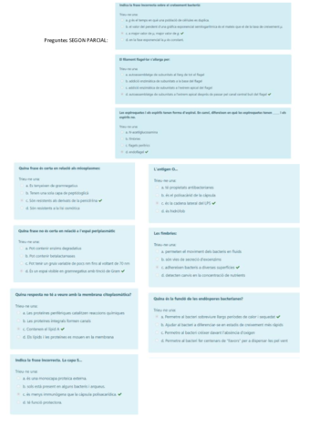 preguntes-2n-parcial-micro-2021.pdf