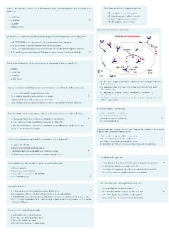 preguntas-examen-final-2021.pdf