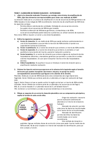 Tema-7-BMC-Actividades.pdf
