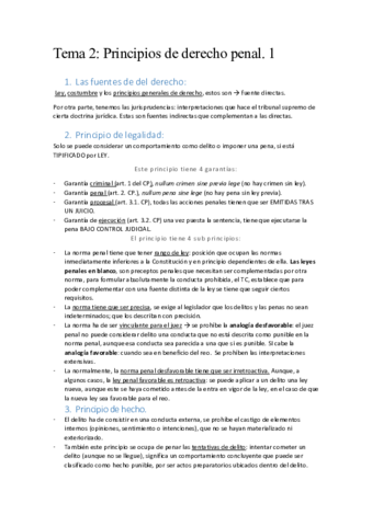 resumen-penal-T.pdf
