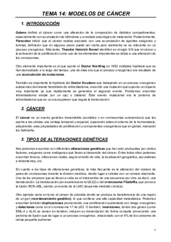 MODELOS-T14.pdf