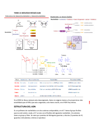 tema-15-biologia-molecular.pdf