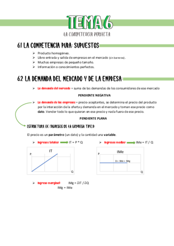 Resumen-tema-6.pdf