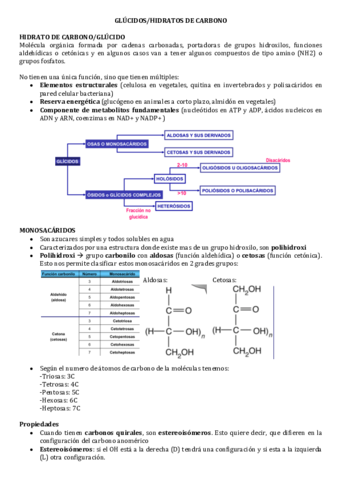 hidratos-de-carbono-glucidos.pdf