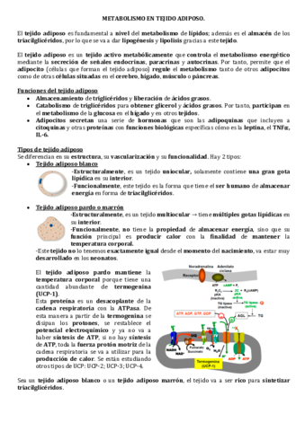 METABOLISMO-EN-TEJIDO-ADIPOSO.pdf