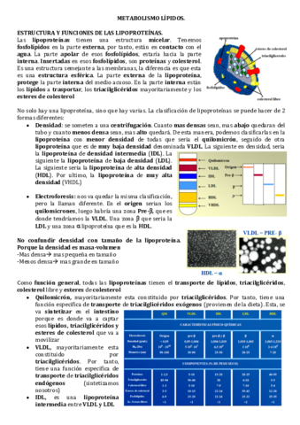 Metabolismo-de-lipidos.pdf