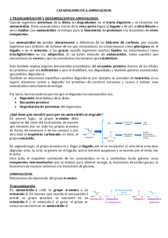 CATABOLISMO-DE-AMINOACIDOS.pdf