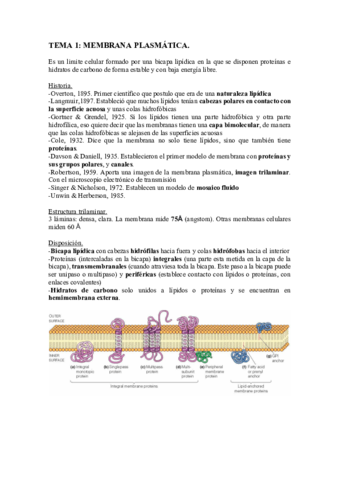 MEMBRANA-PLASMATICA.pdf
