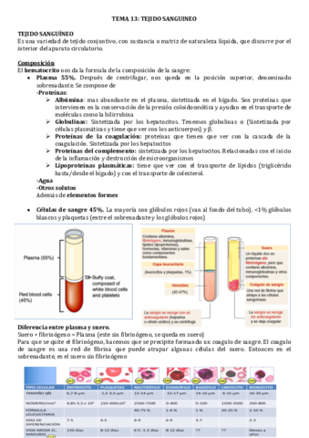 TEJIDO-SANGUINEO-.pdf