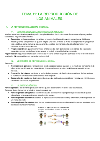 TEMA-11-LA-REPRODUCCION.pdf