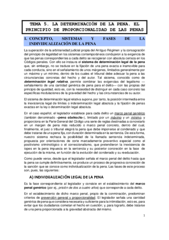 TEMA-5.pdf