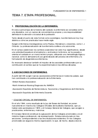 Tema 7. Etapa profesional
