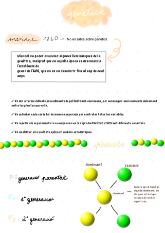 genetica.pdf