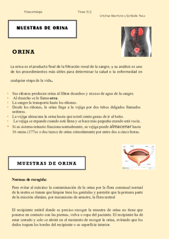 Tema-3-Orina.pdf