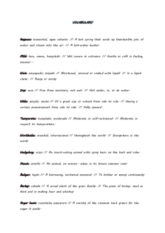 Vocabulary.pdf