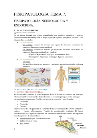 Tema 7 Fisiopatología General.pdf