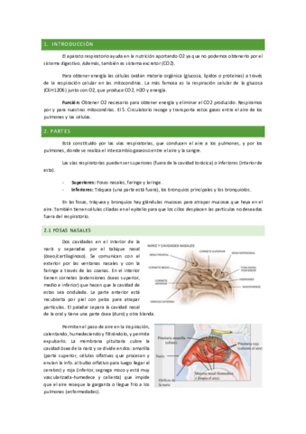 AP-Respi.pdf