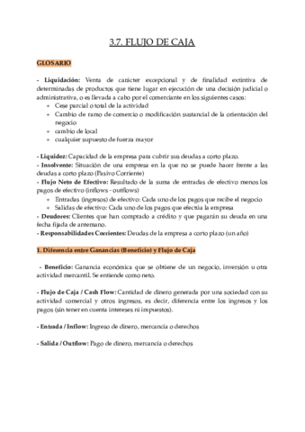 3.7. Flujo de Caja.pdf