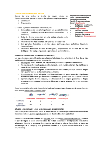 TEMA-9-para-Autoguardado.pdf