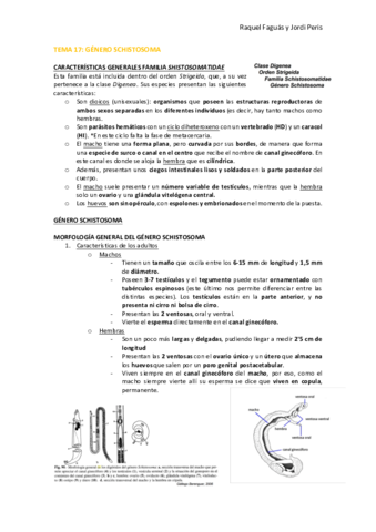 TEMA-17.pdf