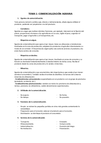 TEORIA-COMERCIALIZACION-2.pdf