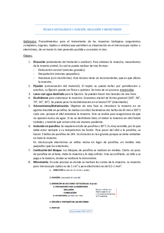 practica2.pdf