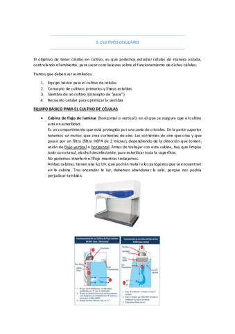 practica5.pdf