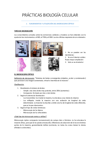 practica1.pdf