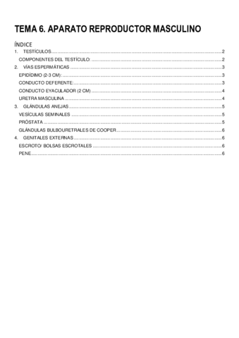 TEMA-6.pdf